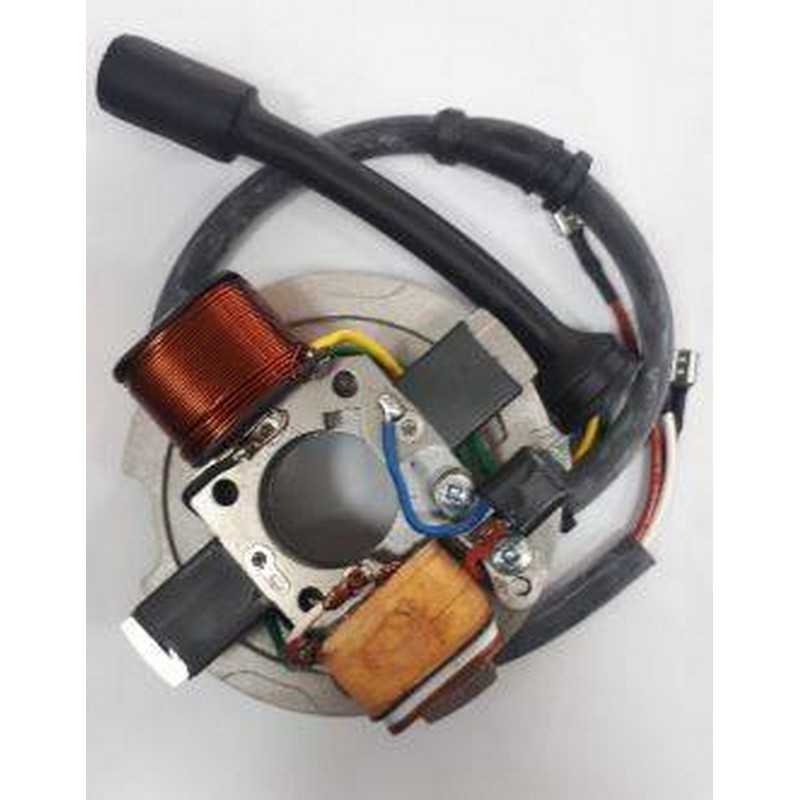 Supporto Bobine statore...