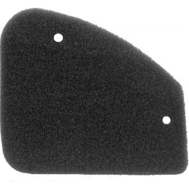 Filtro aria Peugeot Buxy...