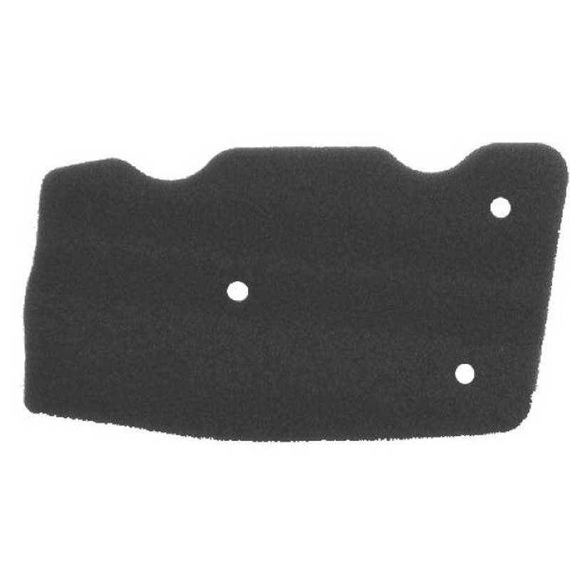 Filtro aria Malaguti...