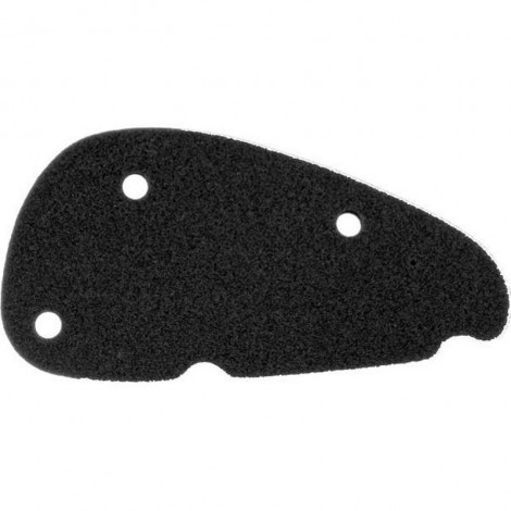 Filtro aria Aprilia Sr...