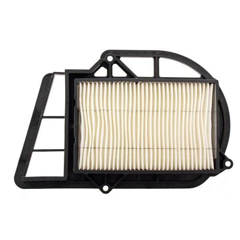 Filtro aria variatore...