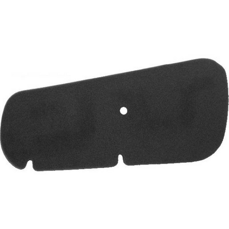 Filtro aria Honda Pantheon...