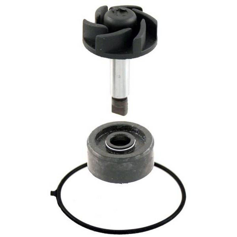 Kit revisione pompa acqua...