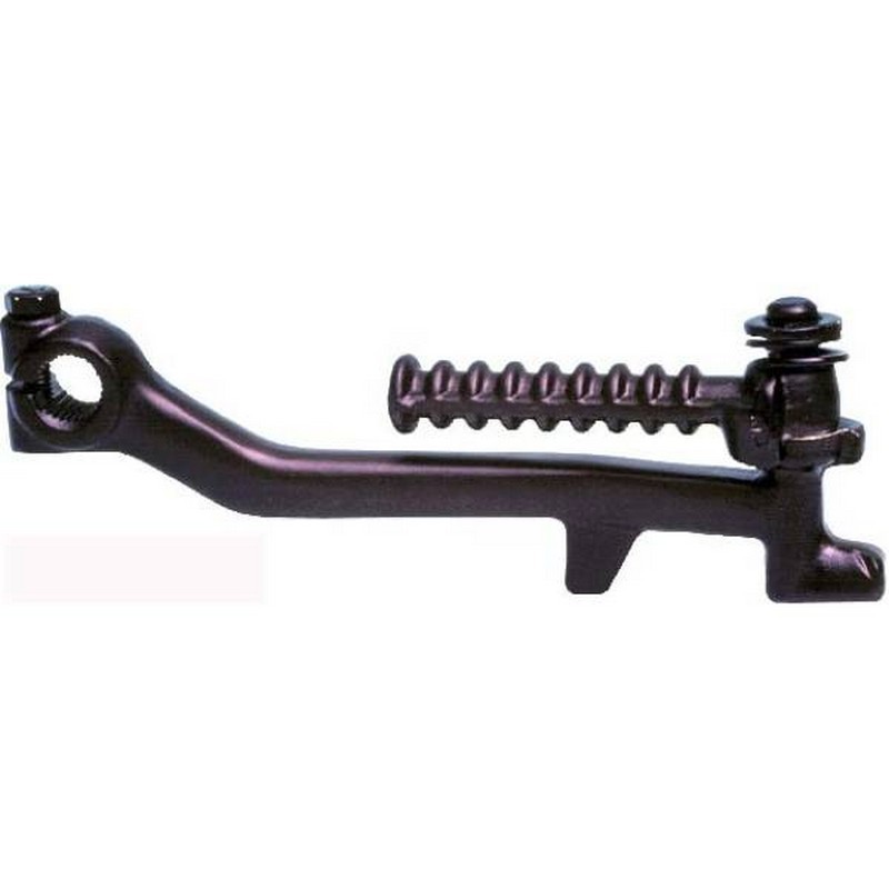 Pedivella nera messa in...