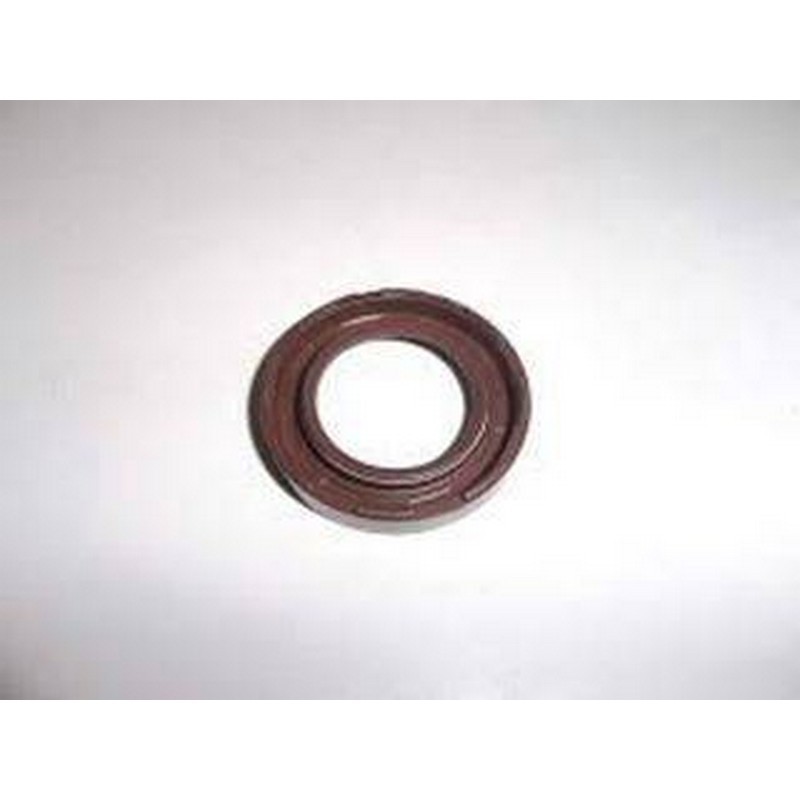 PARAOLIO ALBERO MOTORE APE