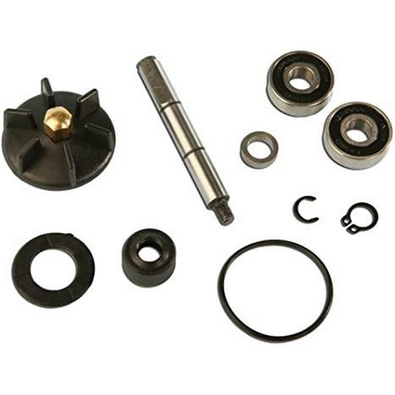 Kit revisione pompa acqua