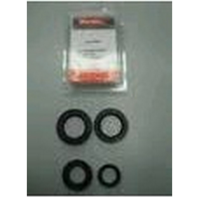 Serie Paraoli motore 150...