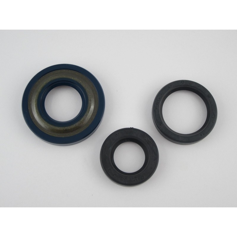 Serie paraoli motore Vespa...