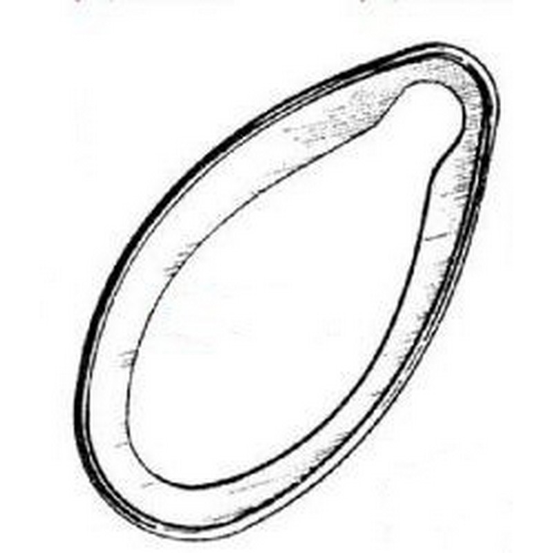 Guarnizione portafaro mod....