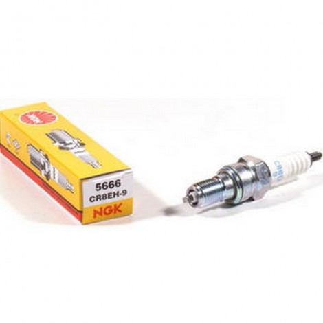Candela NGk CR8EH-9 5666