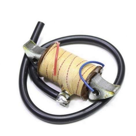 Bobina interna A.T. Vespa...