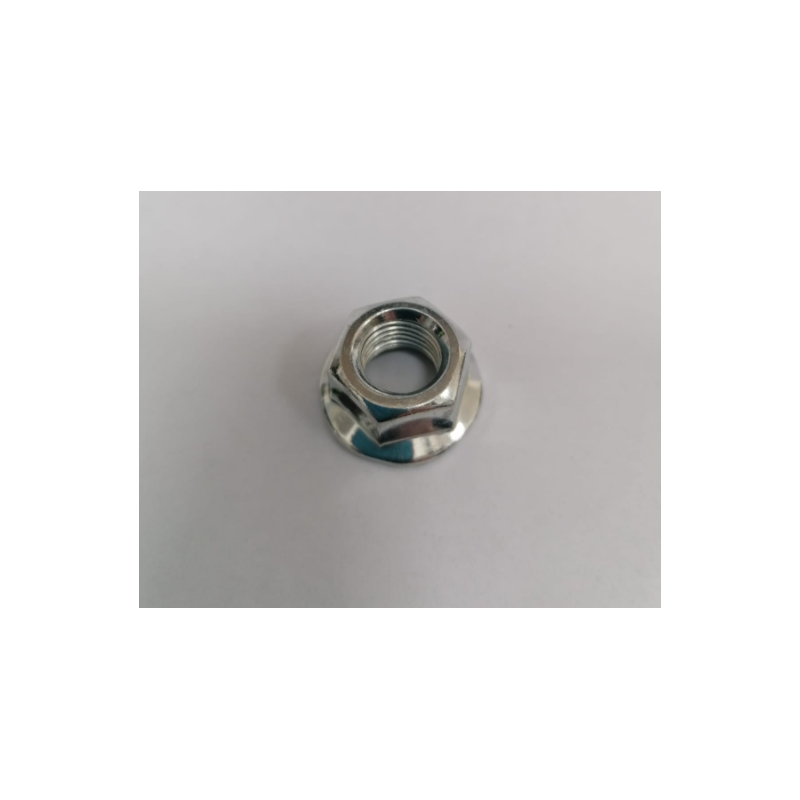 Dado ruota posteriore Bici...