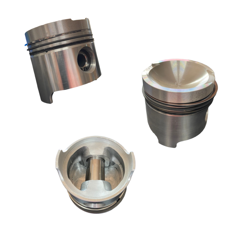 R.O. 288953 - PISTONE...