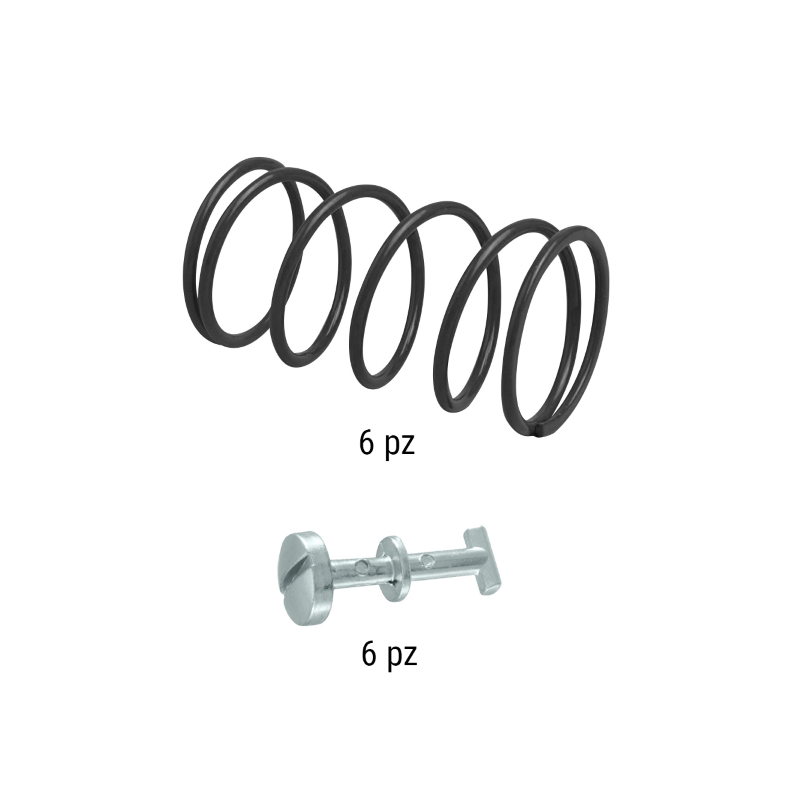 Kit ritegni e molle Piaggio...