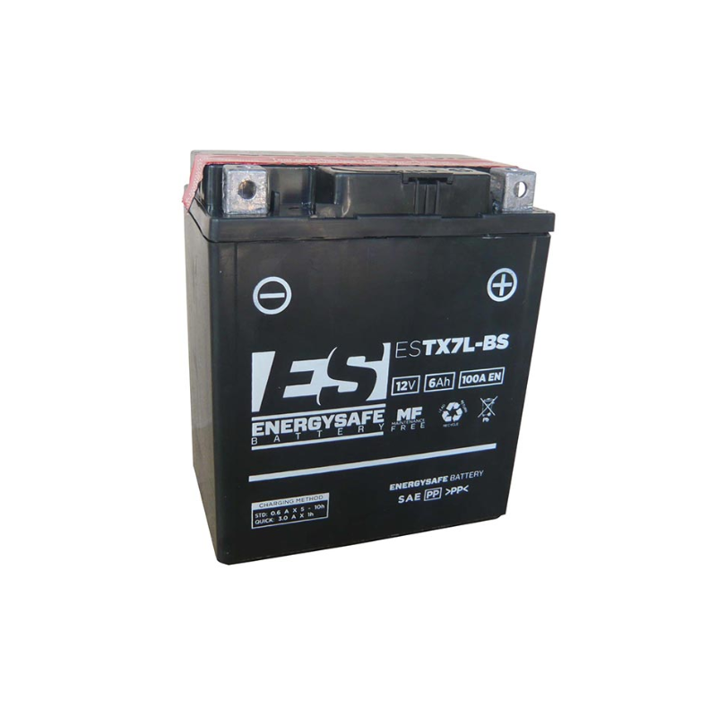 Batteria Energysafe...