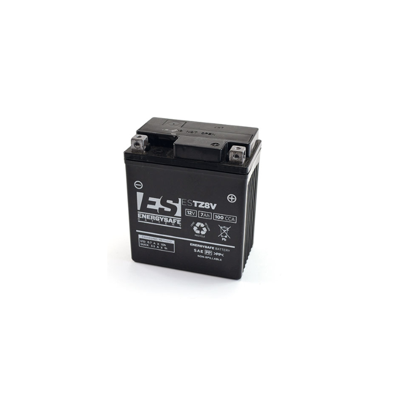 Batteria Energysafe ESTZ 8V...