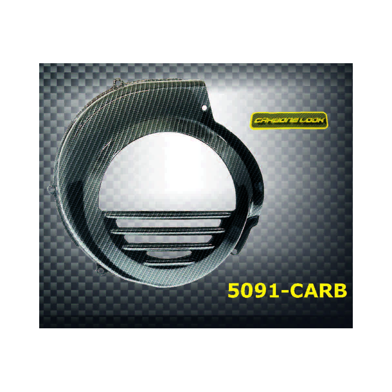 COPRIVENTOLA IN FERRO "...