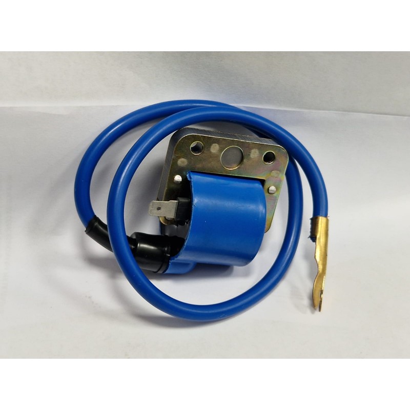 Bobina esterna Vespa 50 N R...