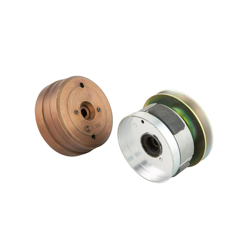 VARIATORE COMPLETO PER...