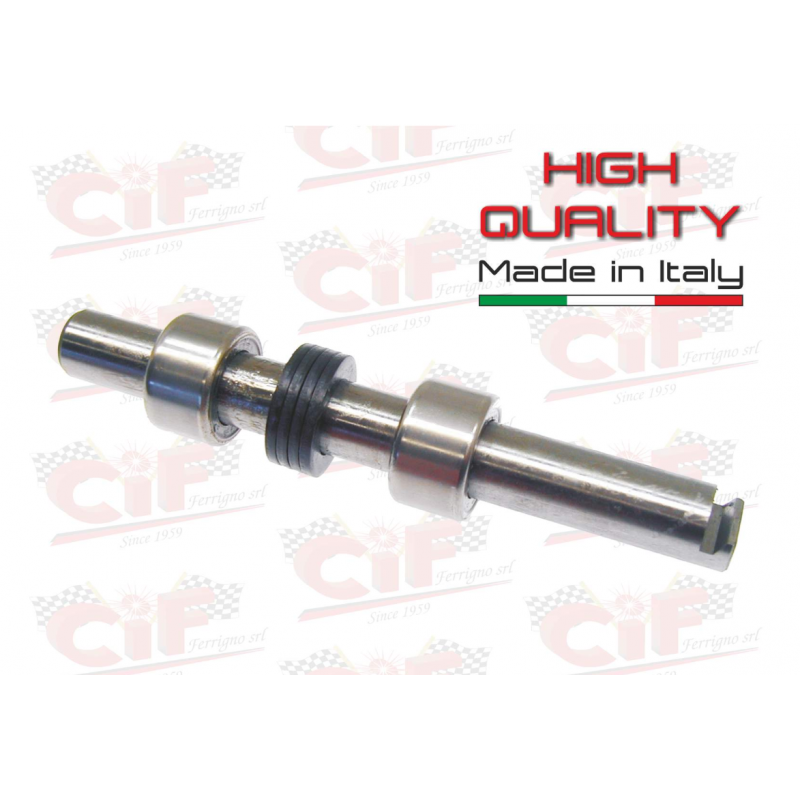 PERNO SOSPENSIONE ANTERIORE...