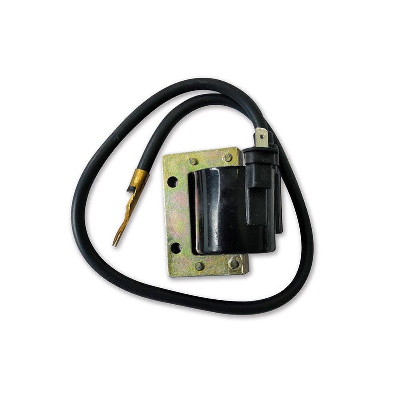 Bobina esterna Vespa...