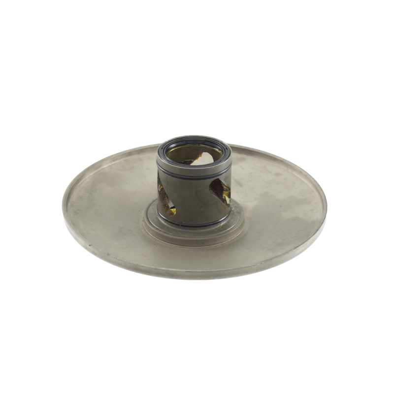 SEMIPULEGGIA CONDOTTA...