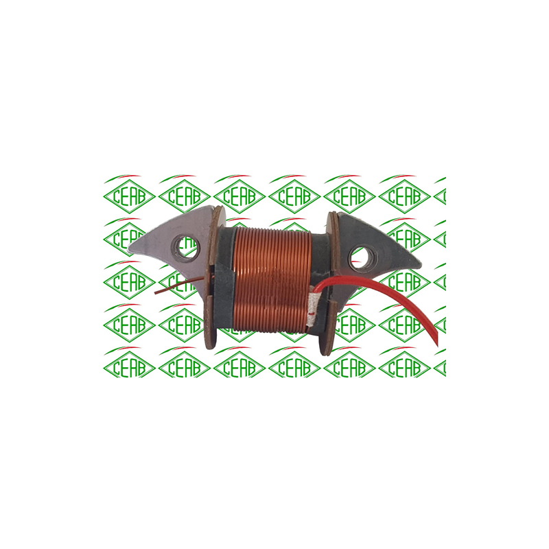 Bobina Accensione Interna...