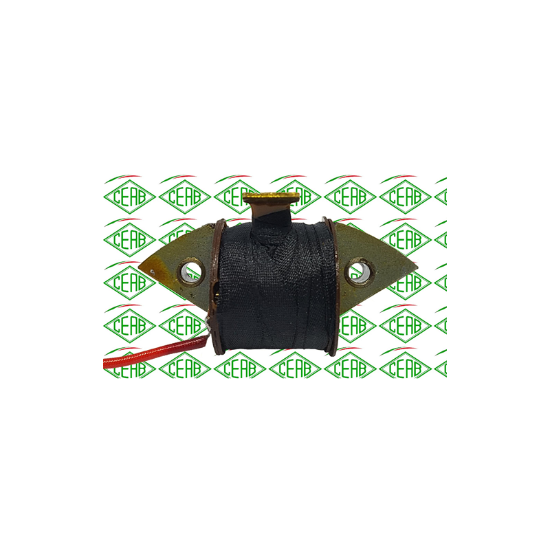 Bobina accensione interna...