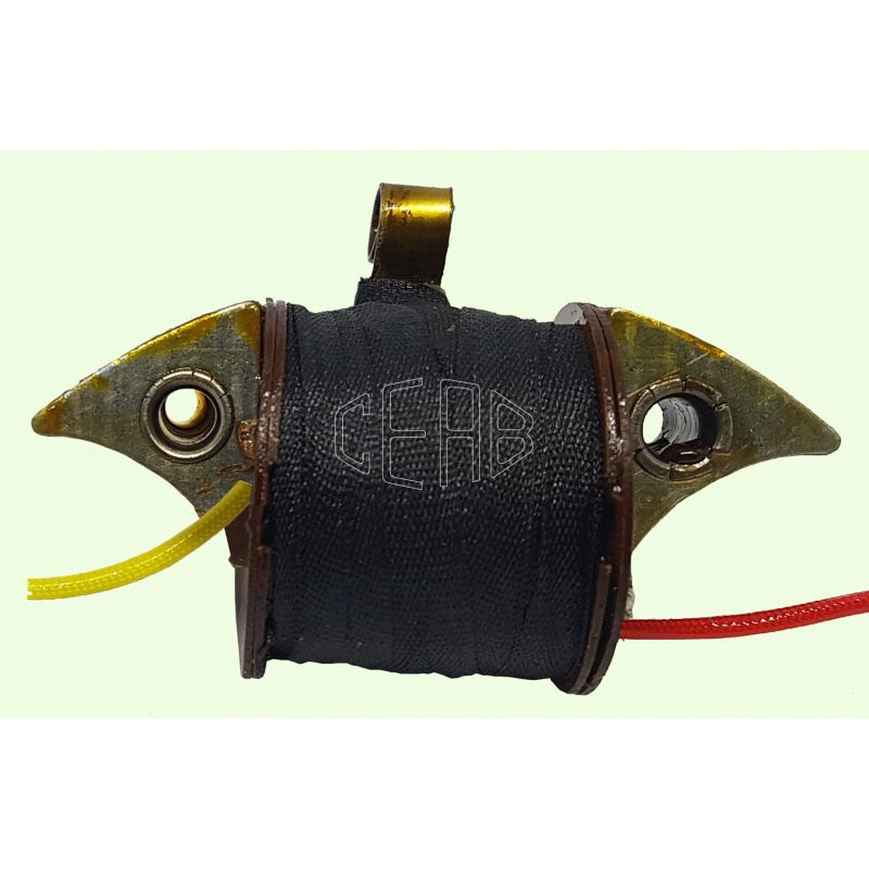 Bobina Accensione Interna...