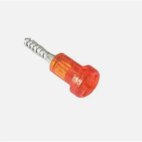 254246 Piaggio Vite...