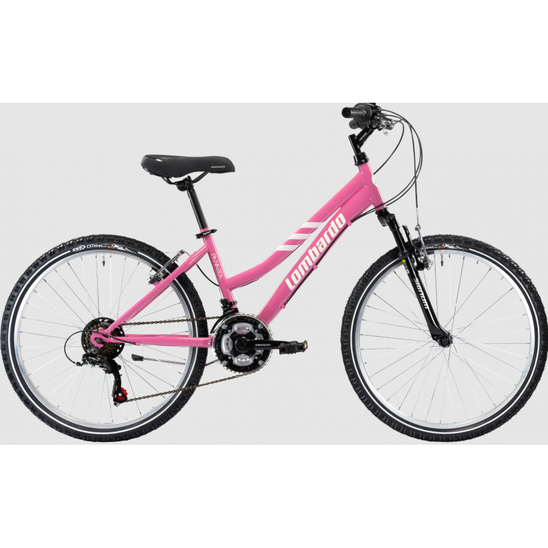 Mountan bike bambina 24...