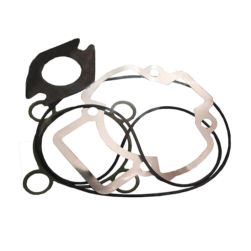 Serie Guarnizione cilindro...