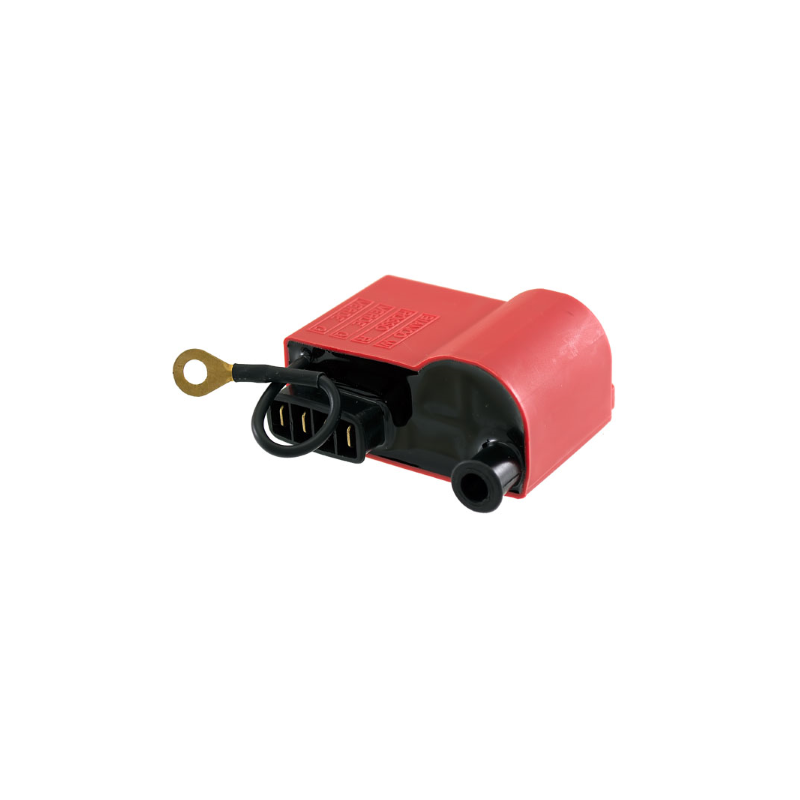 CENTRALINA RMS CLASSIC...