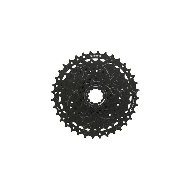 PACCO PIGNONI A CASSETTA...