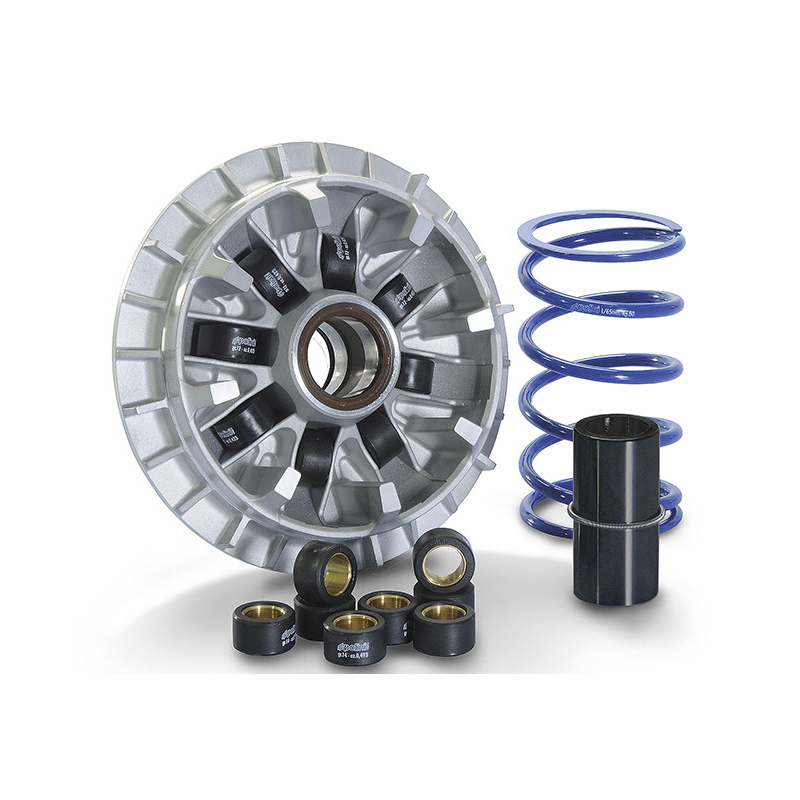 241.700 POLINI VARIATORE...