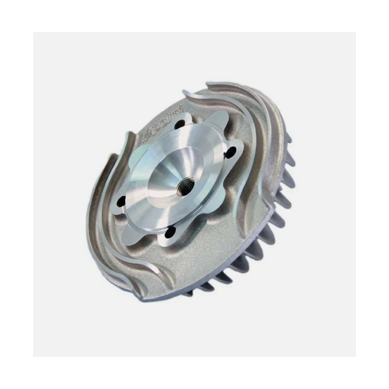 211.0321 Polini TESTA...