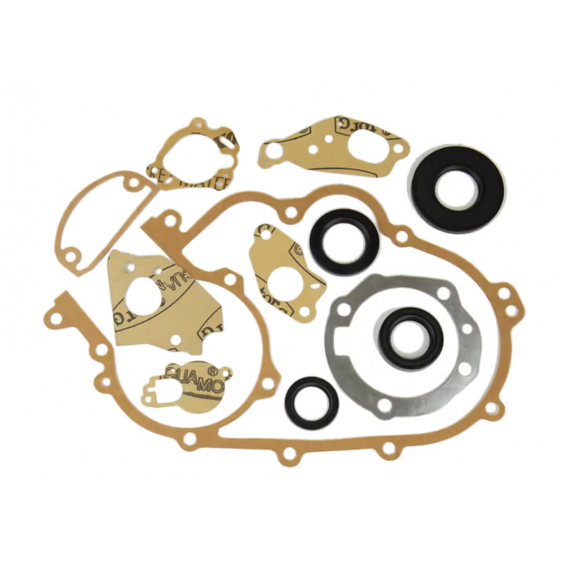 Serie guarnizioni motore...