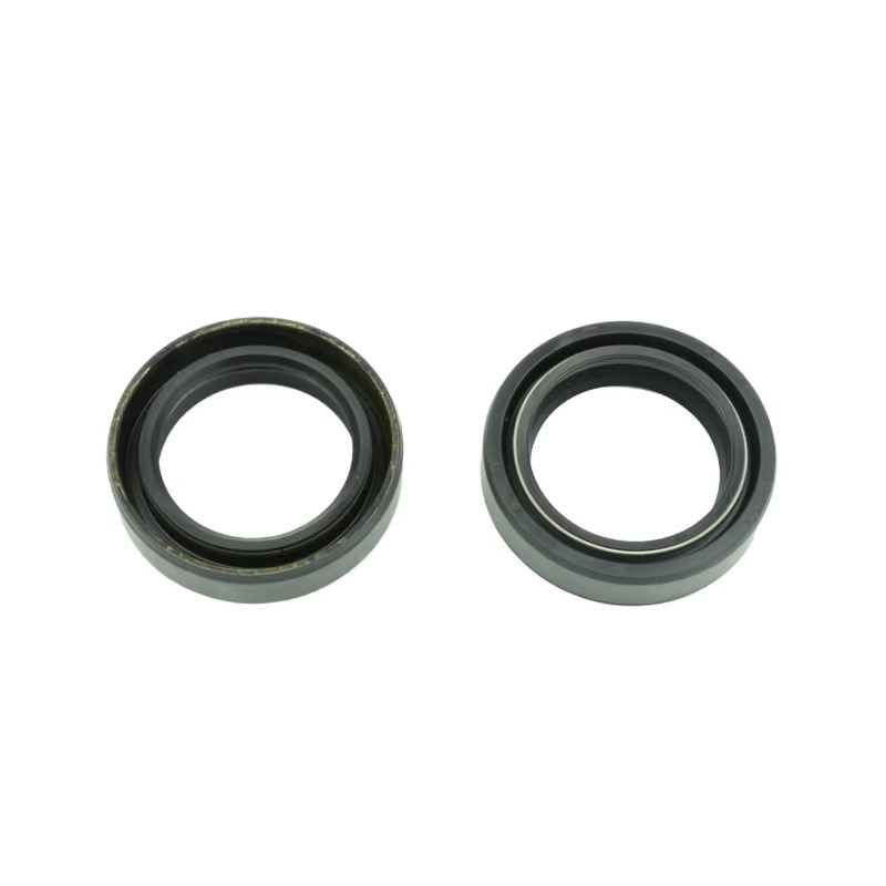 Kit Paraolio Forcella,...