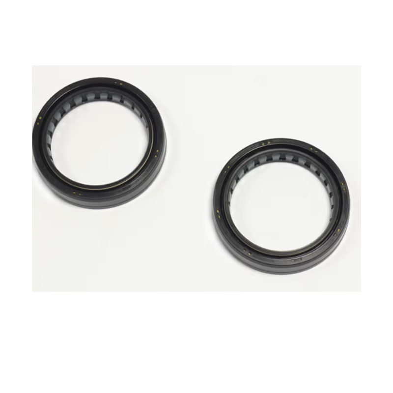 Kit Paraolio Forcella NOK,...