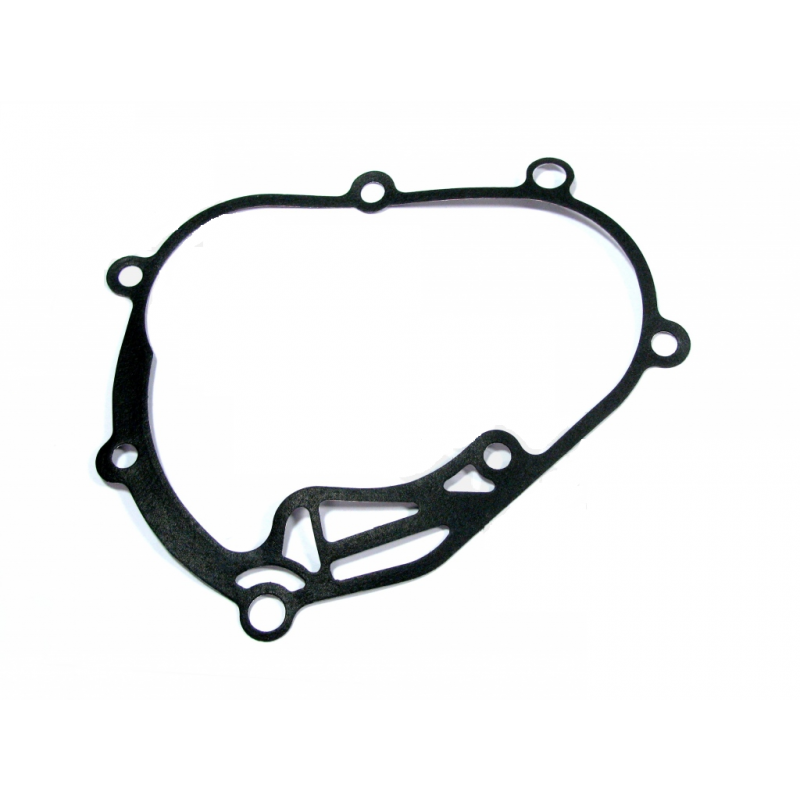 GUARNIZIONE INGRANAGGI...