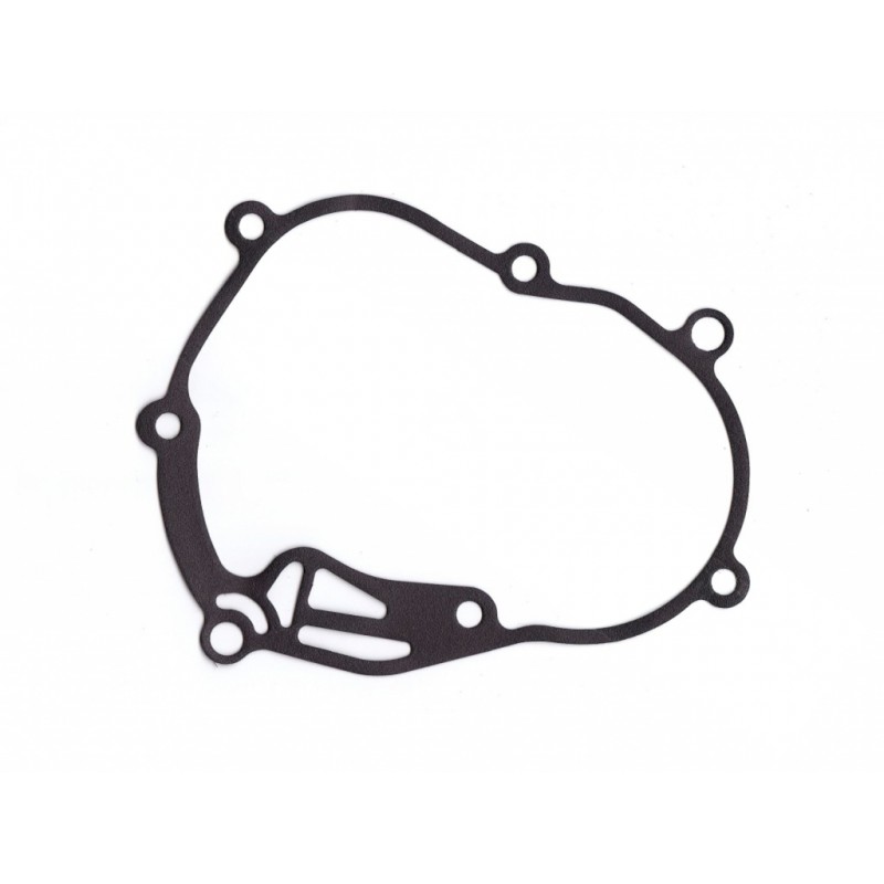 GUARNIZIONI CARTER...