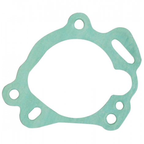 Guarnizione su pompa...