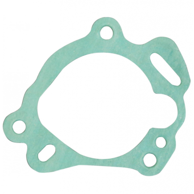 Guarnizione su pompa...