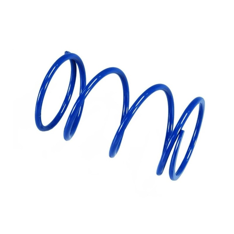 243082 Polini Molla di...