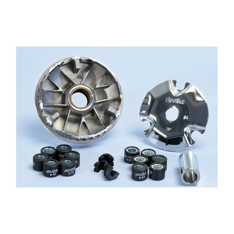 241.626 Polini Variatore...