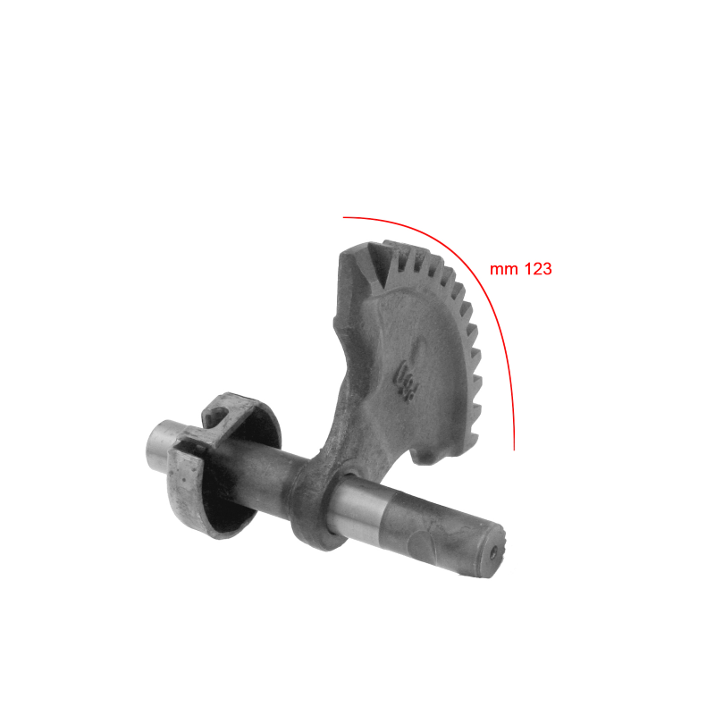 SETTORE MESSA IN MOTO...