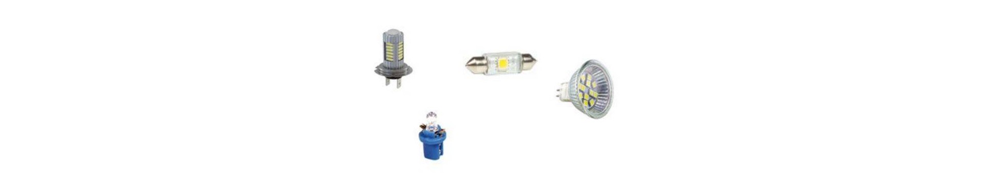 Lampadine per Scooter e moto