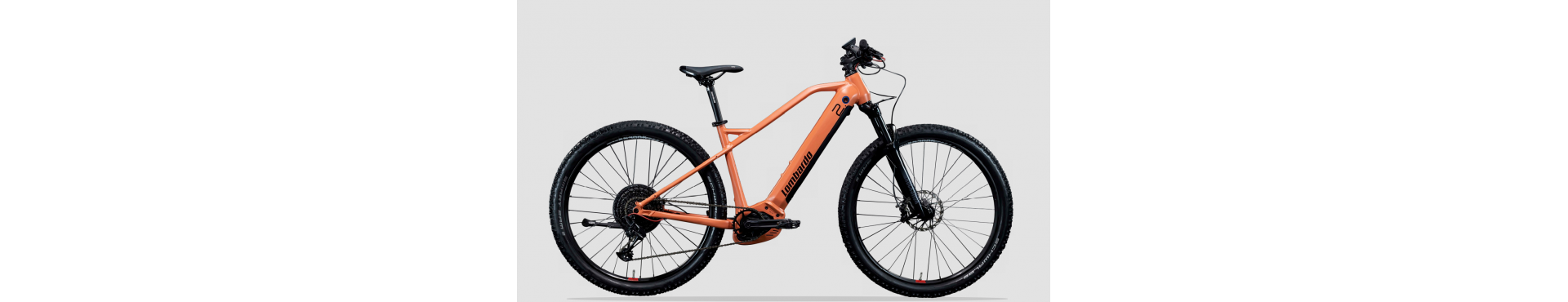 mountain bike front elettrica